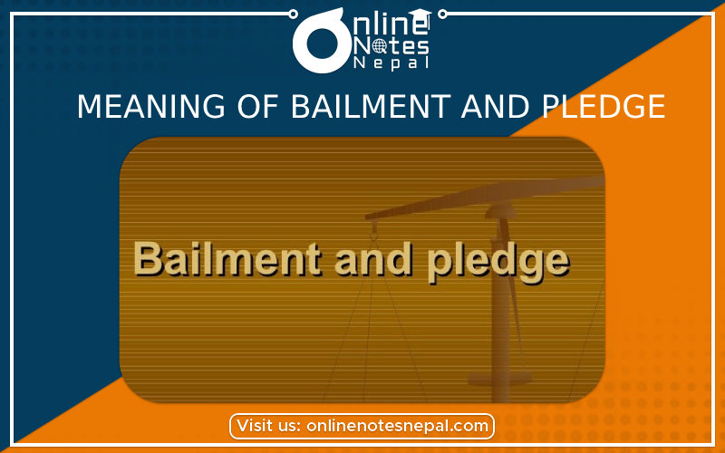 Meaning of Bailment and Pledge